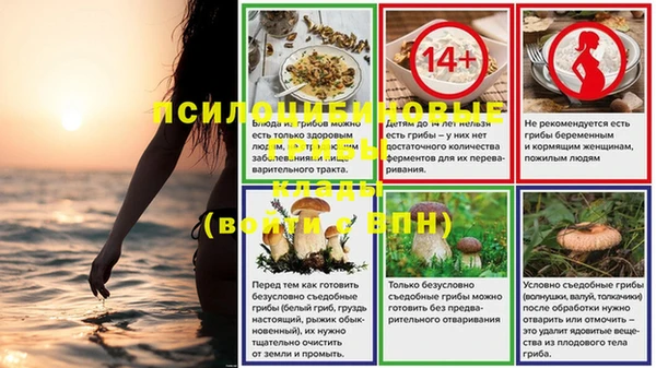 трава Арсеньев