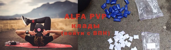 ПСИЛОЦИБИНОВЫЕ ГРИБЫ Аркадак