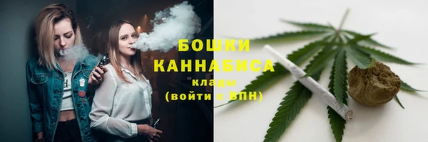 трава Арсеньев