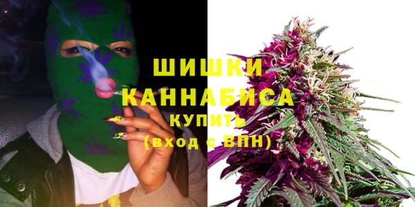 трава Арсеньев