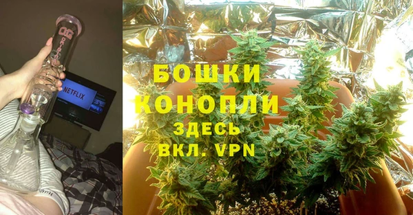 ПСИЛОЦИБИНОВЫЕ ГРИБЫ Аркадак