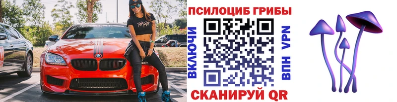 Галлюциногенные грибы Psilocybine cubensis  МЕГА как войти  Белинский 