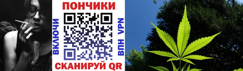 omg вход  как найти закладки  Белинский  Шишки марихуана план 